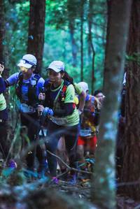 BIB: 2362, 1203
                            <button type="button" onclick="openModal(19356579)" class="btn btn-primary btn-sm float-right btn-popup" data-toggle="modal" data-target=".modal-high-quality">
                        <i class="fas fa-shopping-cart"></i> Add to Cart
                    </button>
                                            <button type="button" onclick="isThisMe(19356579, true)" class="btn btn-success btn-sm float-right btn-popup btn-isme hidden" data-toggle="tooltip" data-placement="bottom" title="นี่คือรูปของคุณใช่ไหม คลิกที่นี่เพื่อเอาเข้าอัลบั้ม">
                        <i class="fas fa-plus"></i> Add to album
                    </button>
                    <button type="button" onclick="isThisMe(19356579, false)" class="btn btn-warning btn-sm float-right btn-popup btn-isnotme hidden">
                        <i class="fas fa-ban"></i> Remove from album
                    </button>